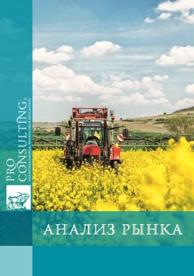 Анализ продаж зерновых и масличных (подсолнечник, соя, рапс) в Украине. 2024 год